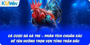 Đá Gà KUWIN – Giải Trí Kịch Tính Với Chiến Kê Dũng Mãnh - si68
