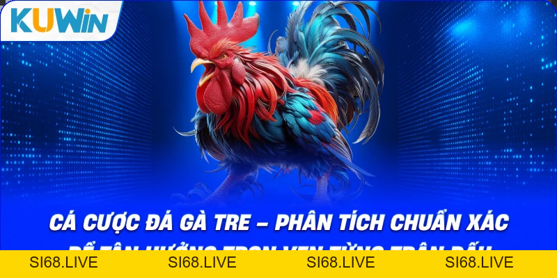 Cá Cược Đá Gà Tre – Phân Tích Chuẩn Xác Tận Hưởng Trọn Vẹn - si68