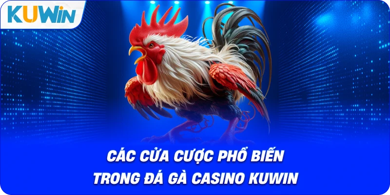 Đá Gà Casino Kuwin – Đấu Trường Đỉnh Cao Cho Người Đam Mê - si68