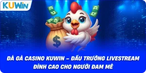 Đá Gà KUWIN – Giải Trí Kịch Tính Với Chiến Kê Dũng Mãnh - si68