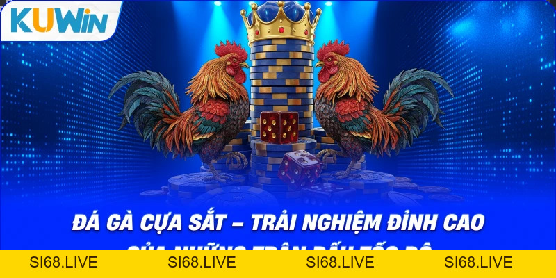 Đá Gà Cựa Sắt – Trải Nghiệm Đỉnh Cao Của Những Trận Đấu Tốc Độ - si68