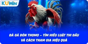 Đá Gà KUWIN – Giải Trí Kịch Tính Với Chiến Kê Dũng Mãnh - si68