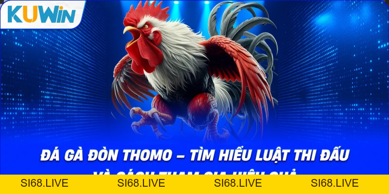 Đá Gà Đòn Thomo – Tìm Hiểu Luật Thi Đấu Và Cách Tham Gia - si68