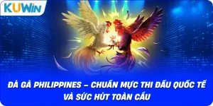 Đá Gà KUWIN – Giải Trí Kịch Tính Với Chiến Kê Dũng Mãnh - si68