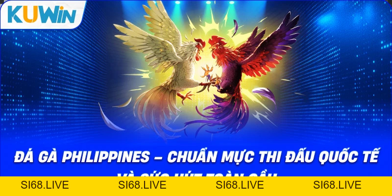 Đá Gà Philippines – Chuẩn Mực Thi Đấu Quốc Tế Và Sức Hút Mới - si68