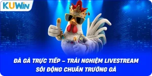 Đá Gà KUWIN – Giải Trí Kịch Tính Với Chiến Kê Dũng Mãnh - si68