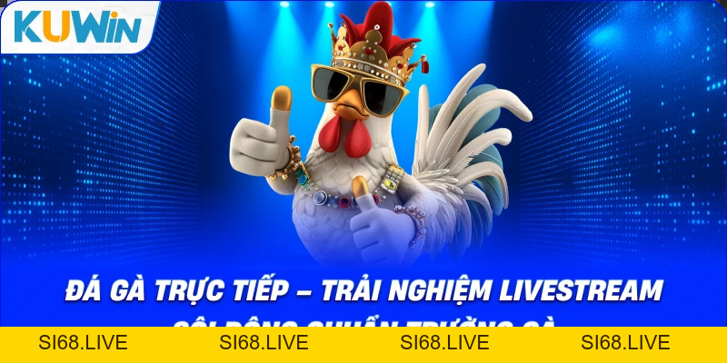 Đá Gà Trực Tiếp – Trải Nghiệm Livestream Sôi Động Sới Gà - si68