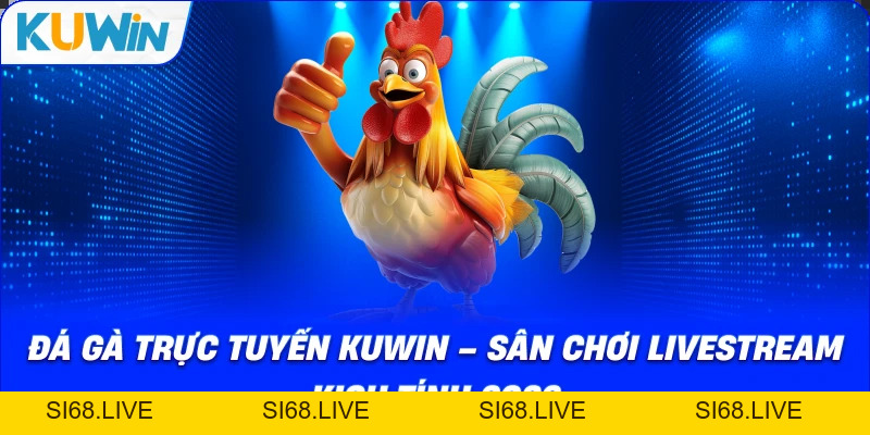 Đá Gà Trực Tuyến Kuwin – Sân Chơi Chọi Gà Kịch Tính 2026 - si68