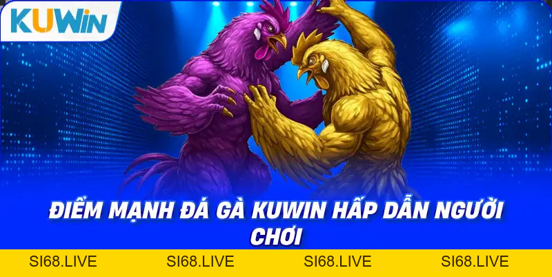 Đá Gà KUWIN – Giải Trí Kịch Tính Với Chiến Kê Dũng Mãnh - si68