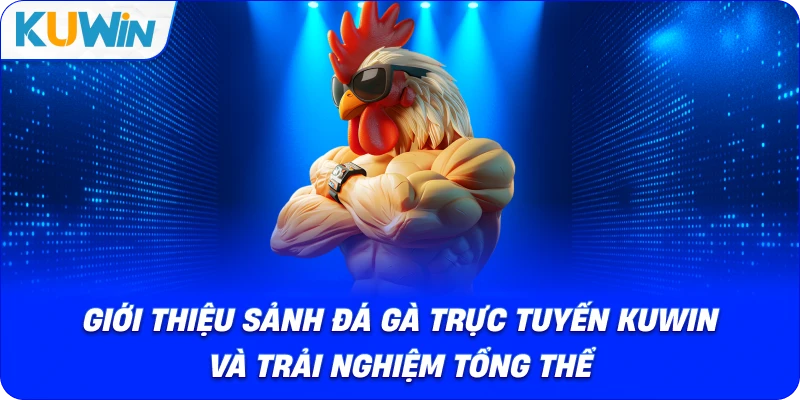 Đá Gà Trực Tuyến Kuwin – Sân Chơi Chọi Gà Kịch Tính 2026 - si68