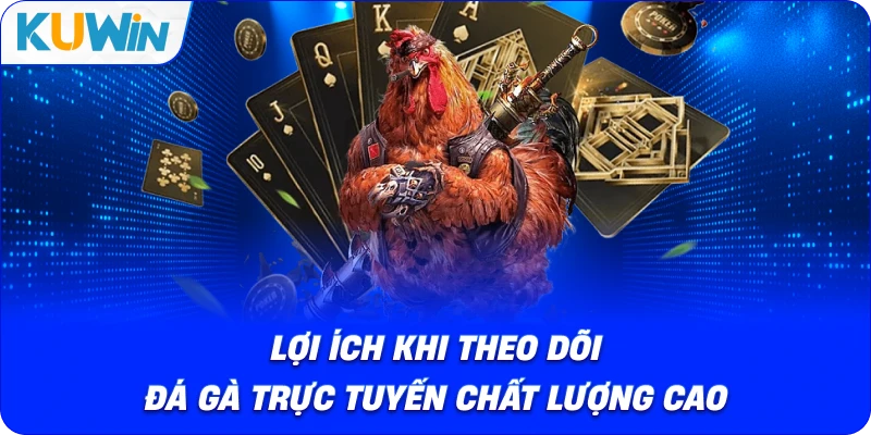 Đá Gà Trực Tiếp – Trải Nghiệm Livestream Sôi Động Sới Gà - si68