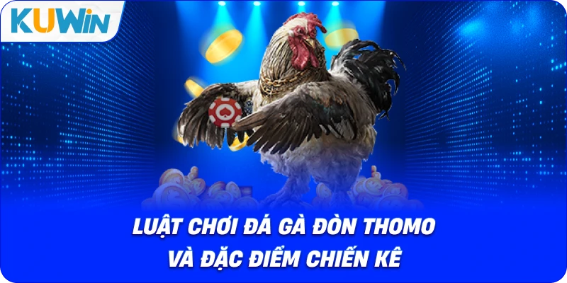 Đá Gà Đòn Thomo – Tìm Hiểu Luật Thi Đấu Và Cách Tham Gia - si68