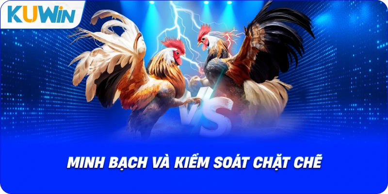 Đá Gà Philippines – Chuẩn Mực Thi Đấu Quốc Tế Và Sức Hút Mới - si68