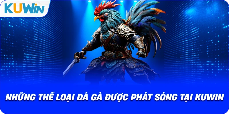Đá Gà Casino Kuwin – Đấu Trường Đỉnh Cao Cho Người Đam Mê - si68