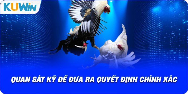 Đá Gà Cựa Sắt – Trải Nghiệm Đỉnh Cao Của Những Trận Đấu Tốc Độ - si68