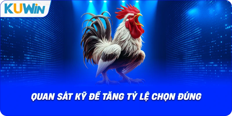 Cá Cược Đá Gà Tre – Phân Tích Chuẩn Xác Tận Hưởng Trọn Vẹn - si68