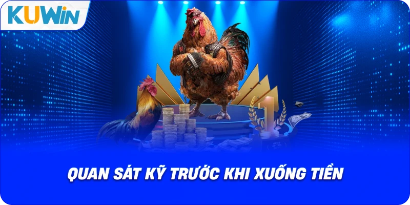 Đá Gà Philippines – Chuẩn Mực Thi Đấu Quốc Tế Và Sức Hút Mới - si68